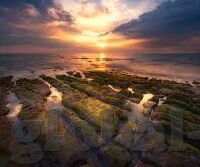 豆浆机水果机一体加热-豆浆机水果机一体加热，健康生活的新选择